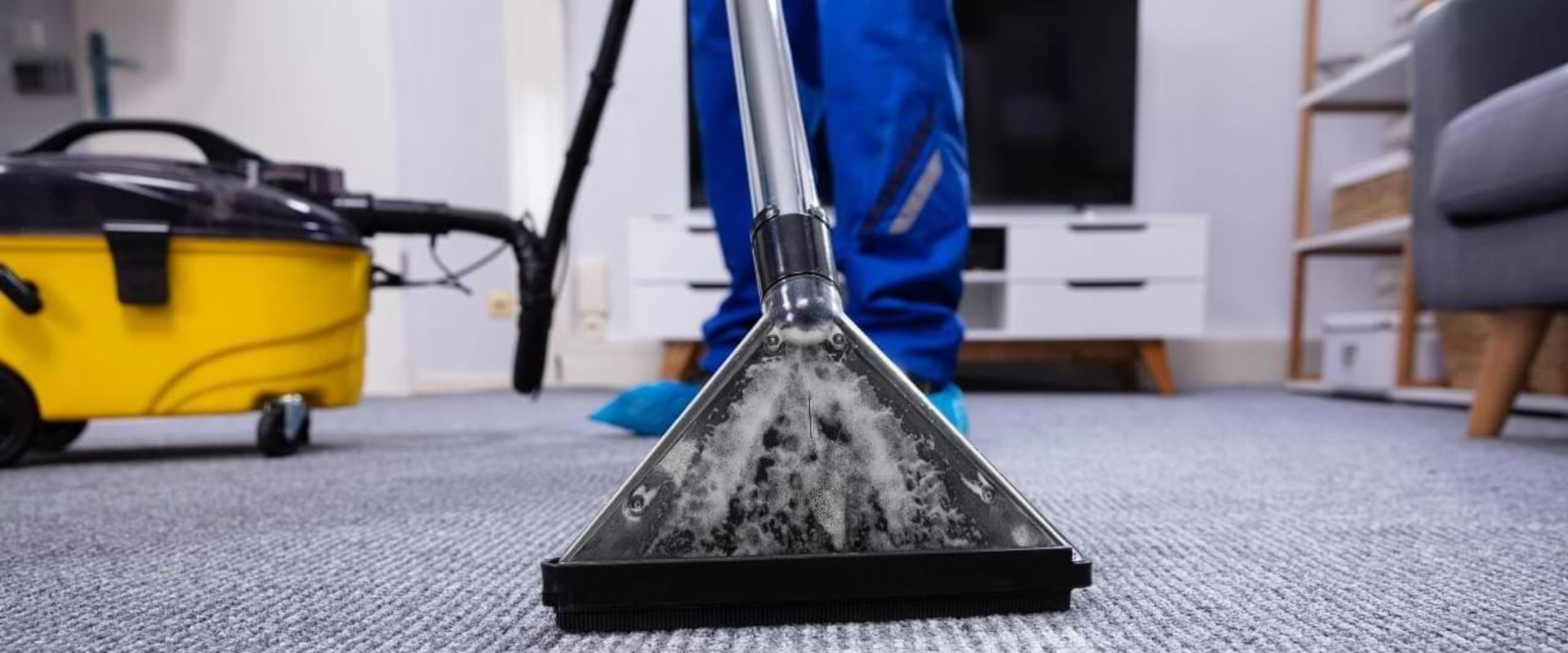 Carpet Cleaning: Everything You Need To Know