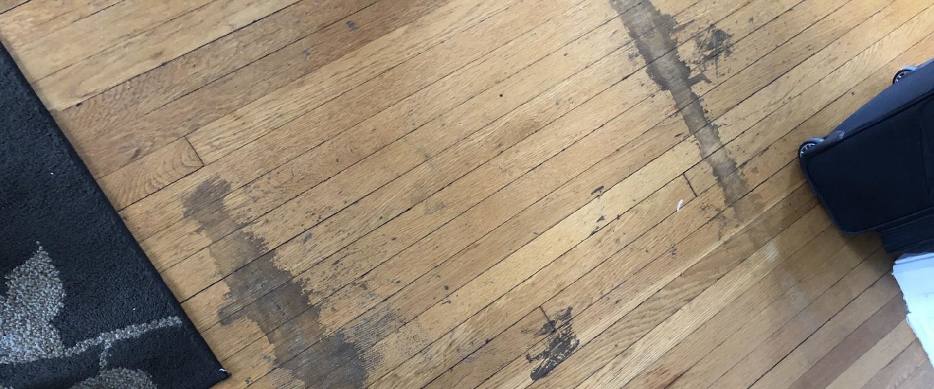 Inspecting Flooring: Assessing Damage
